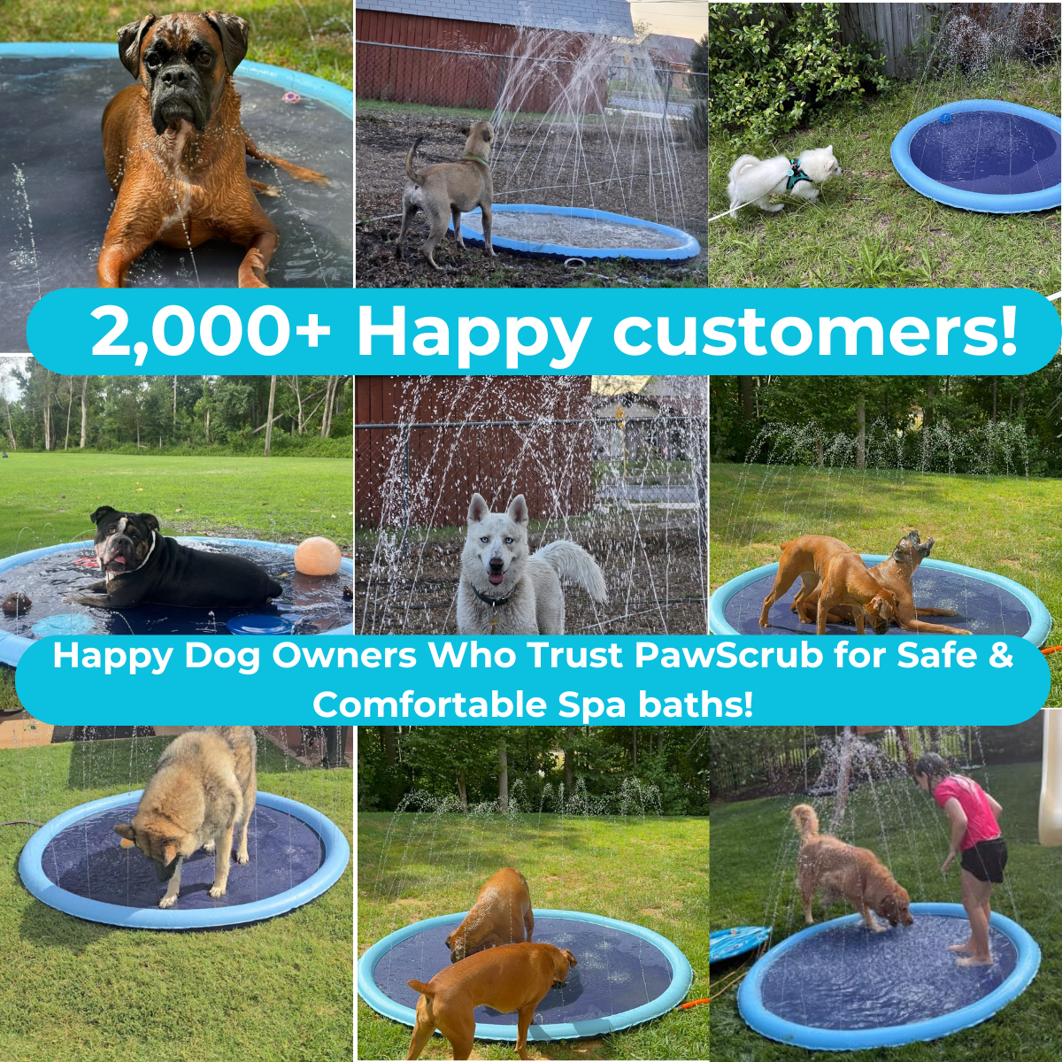 PawSplash - Dog Splash Pad