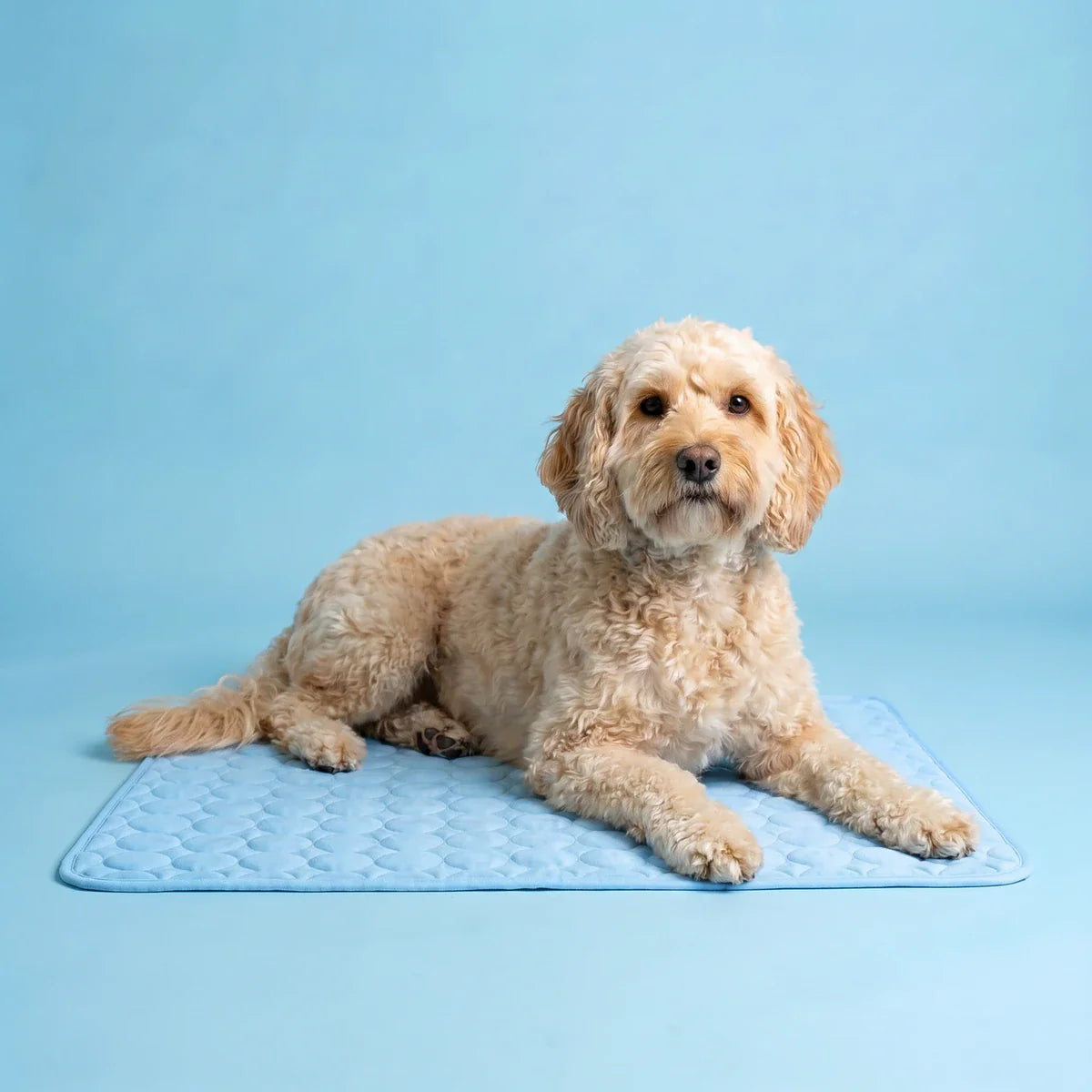 Paw Breeze Cooling Mat