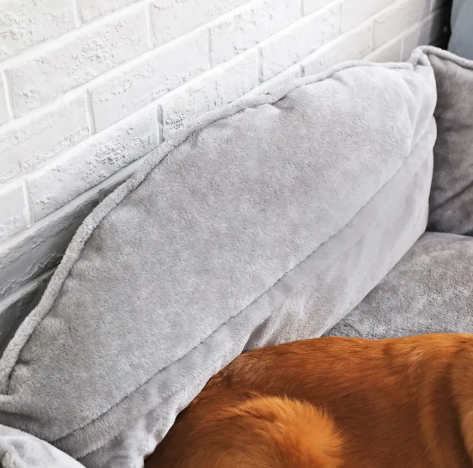 PawCloud™