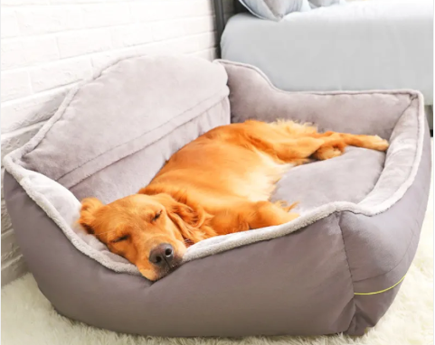PawCloud™