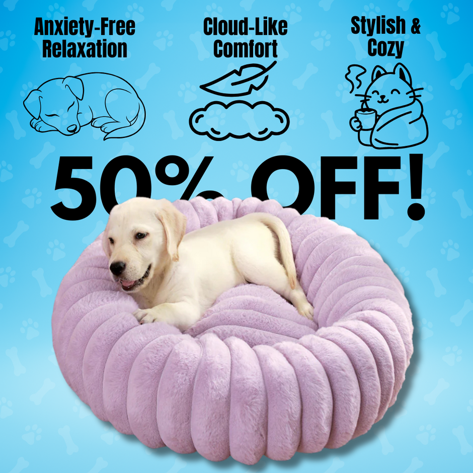 Paws for Snores Memory Foam Cushion - 74x54cm LRG main image 1