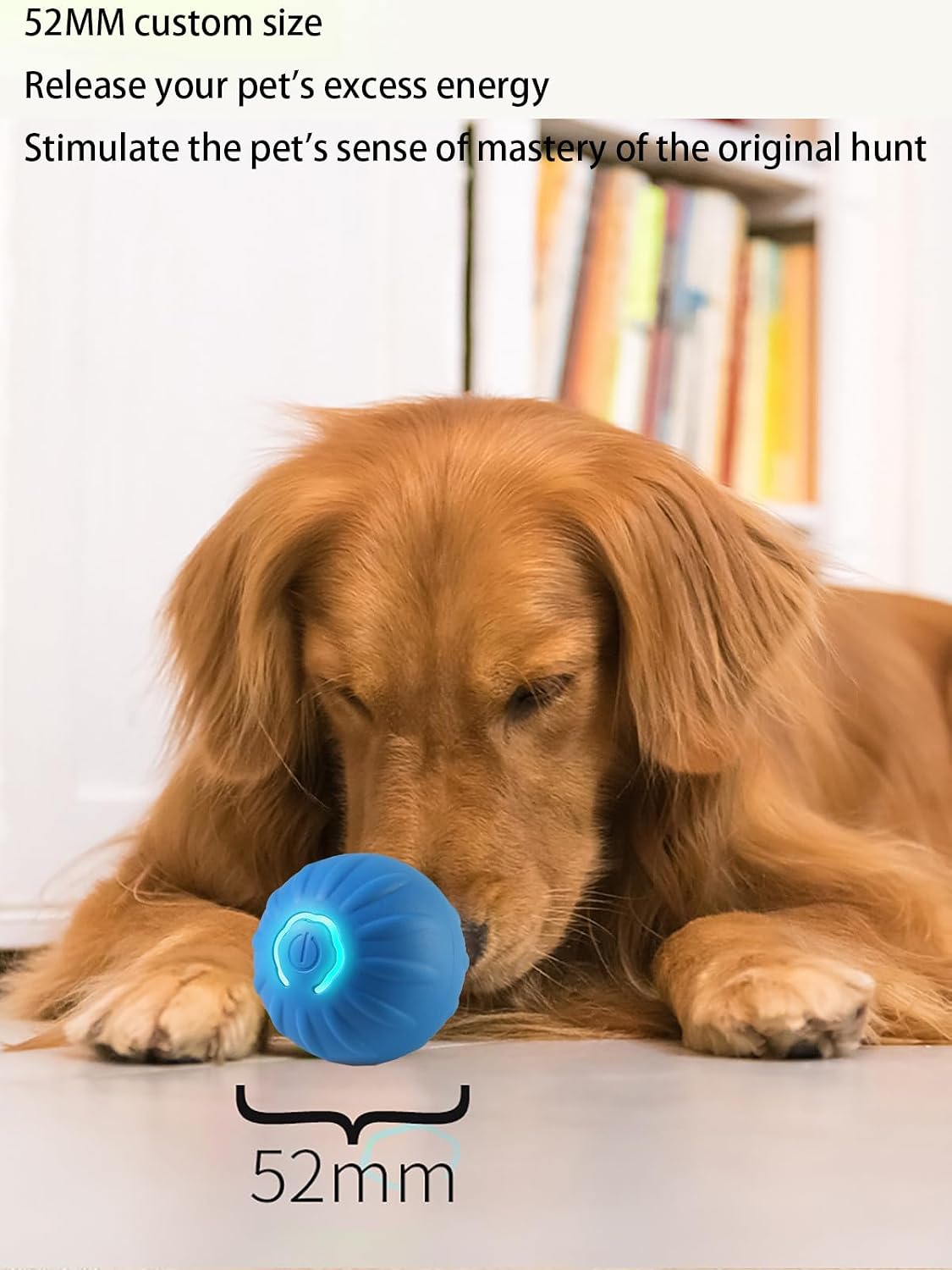 PawChase