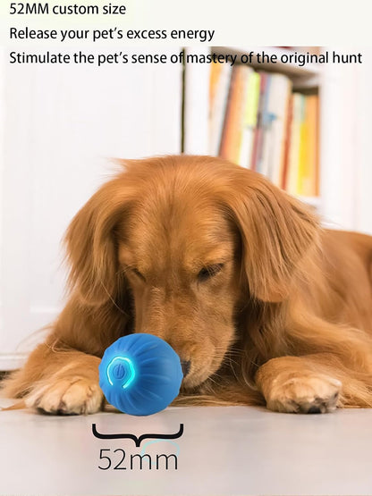 PawChase