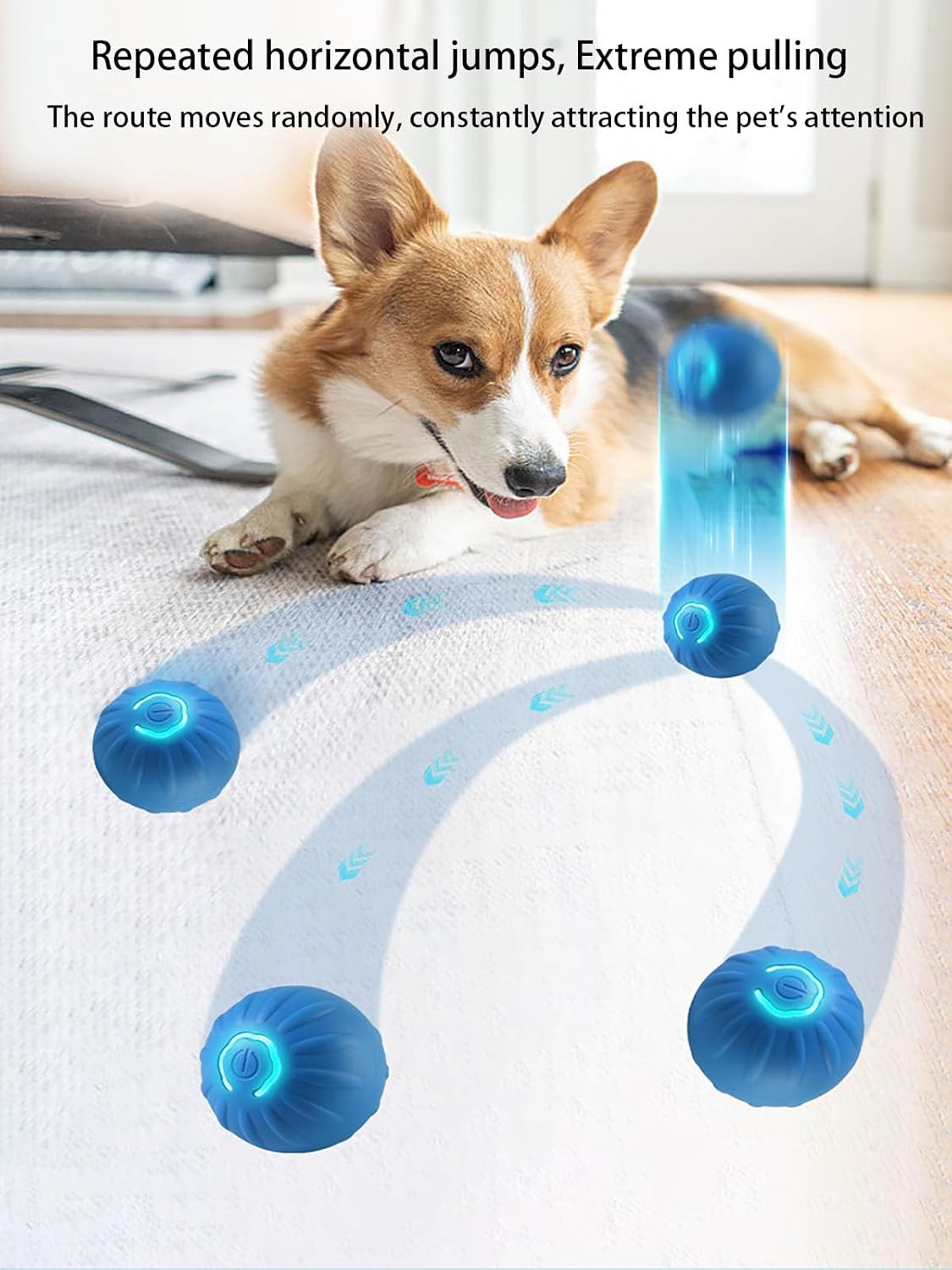 PawChase
