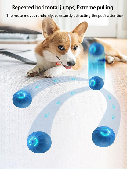 PawChase