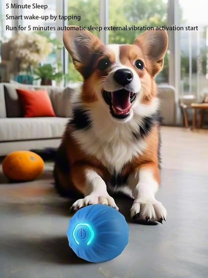 PawChase