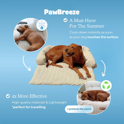PawBreeze