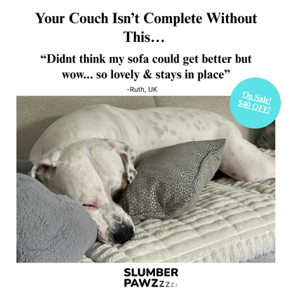 PawLounge™ – Quilted Cozy Sofa Cover