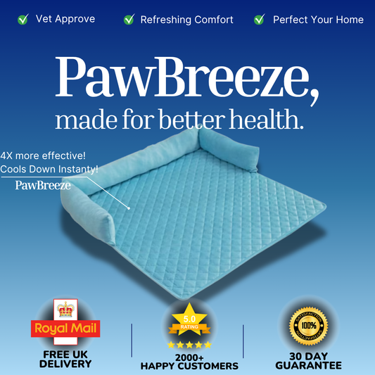 PawBreeze