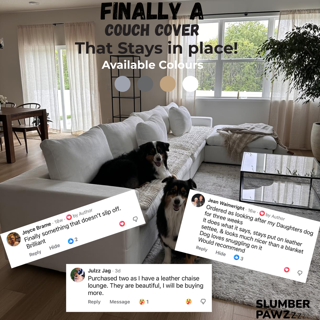 PawLounge™ – Quilted Cozy Sofa Cover