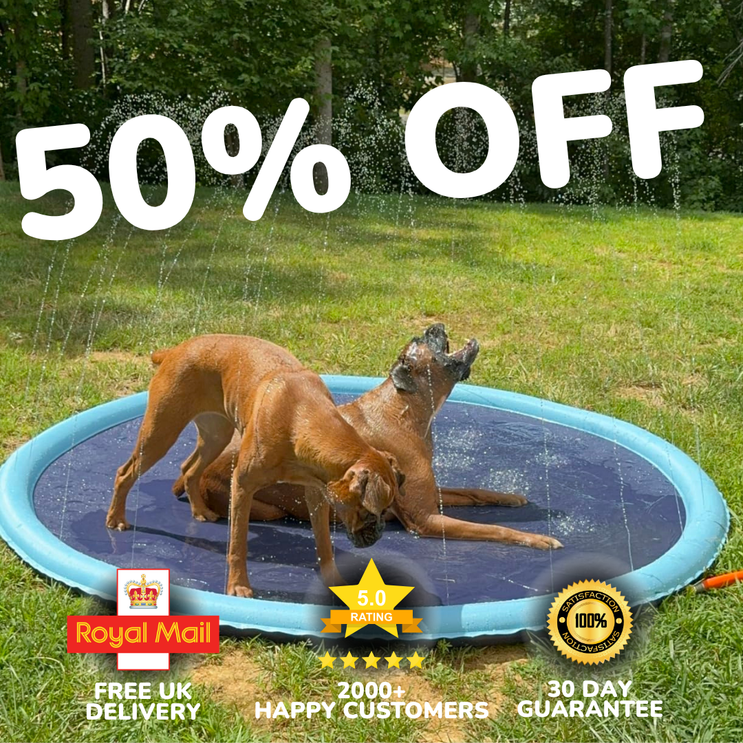 PawSplash - Dog Splash Pad