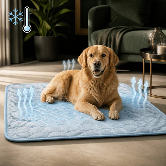 Paw Breeze Cooling Mat