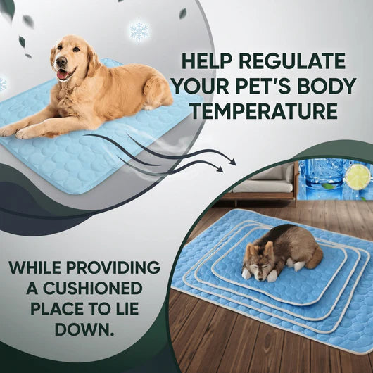 Paw Breeze Cooling Mat