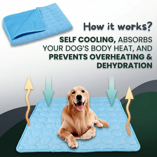 Paw Breeze Cooling Mat