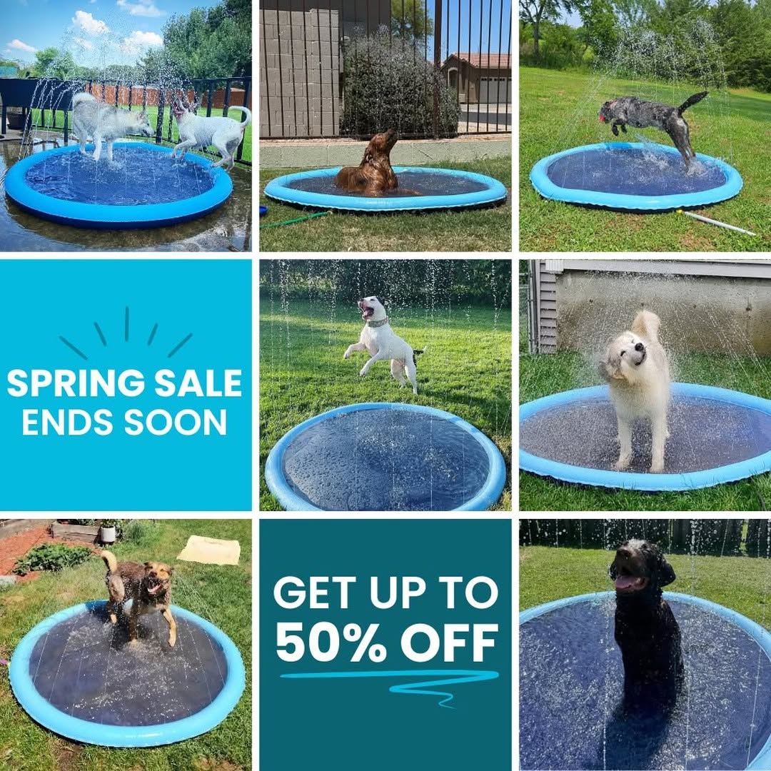 PawSplash - Dog Splash Pad