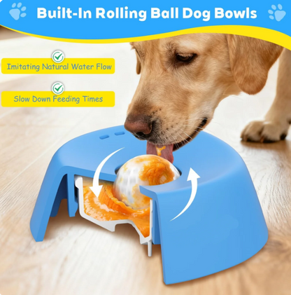 Slow Paws (Slow Feeder Dog Bowl)