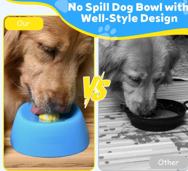 Slow Paws (Slow Feeder Dog Bowl)
