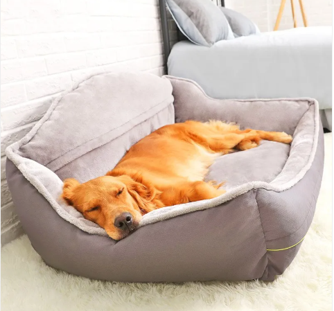 PawCloud™
