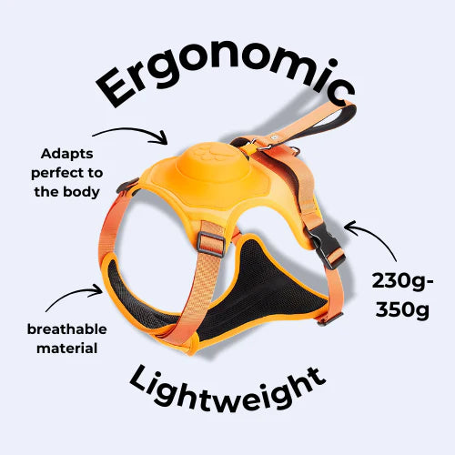 TrailTug - Auto Lock Leash