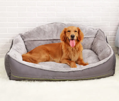 PawCloud™